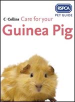 RSPCA Pet Guide - Care for your Guinea Pig 
