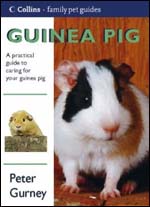 Collins Family Pet Guide - Guinea Pig 